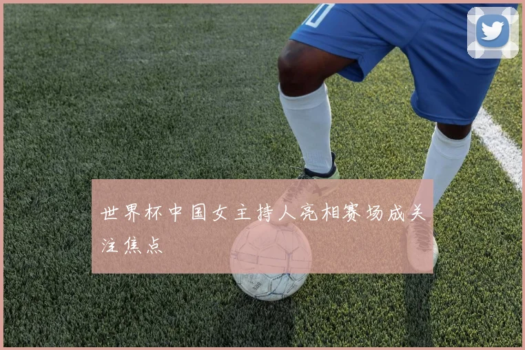 世界杯中国女主持人亮相赛场成关注焦点