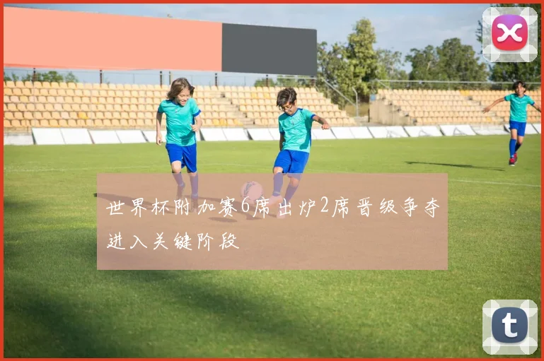 世界杯附加赛6席出炉2席晋级争夺进入关键阶段
