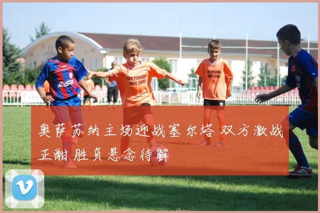 奥萨苏纳主场迎战塞尔塔 双方激战正酣 胜负悬念待解