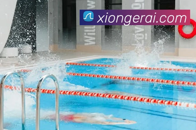 多媒体互动体验